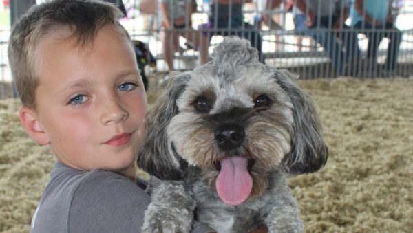 Pet Parade1_crop_660_374