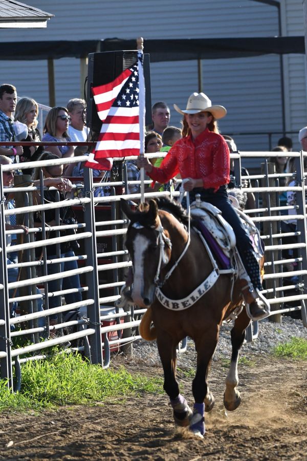 WesternHorse