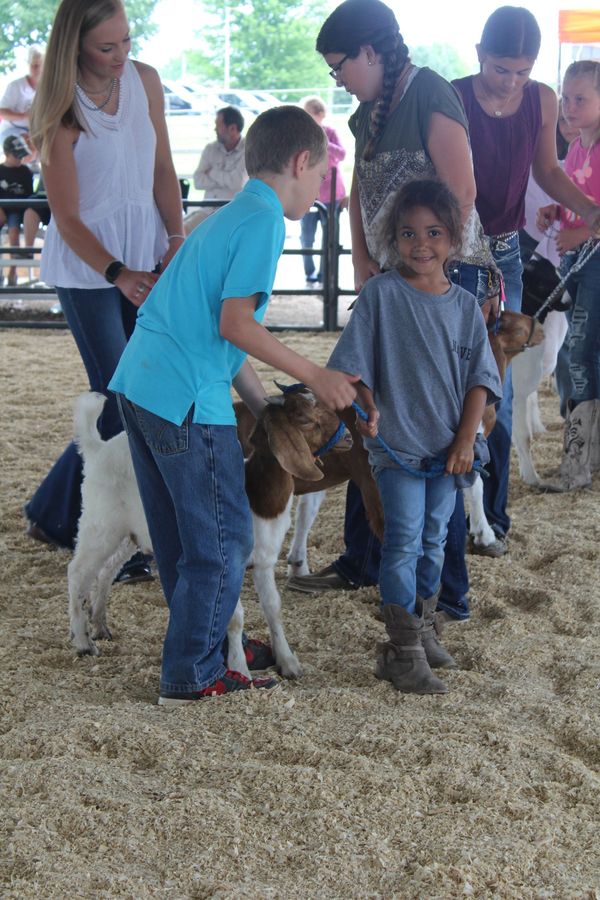 Goats2